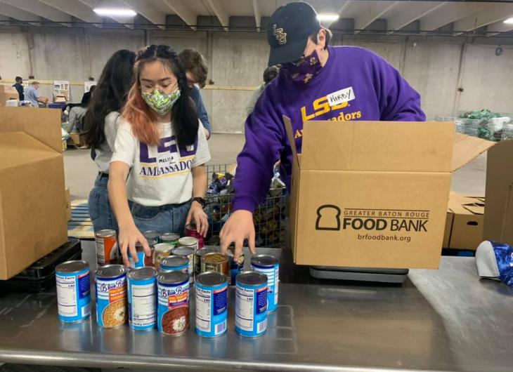MLK day of Service